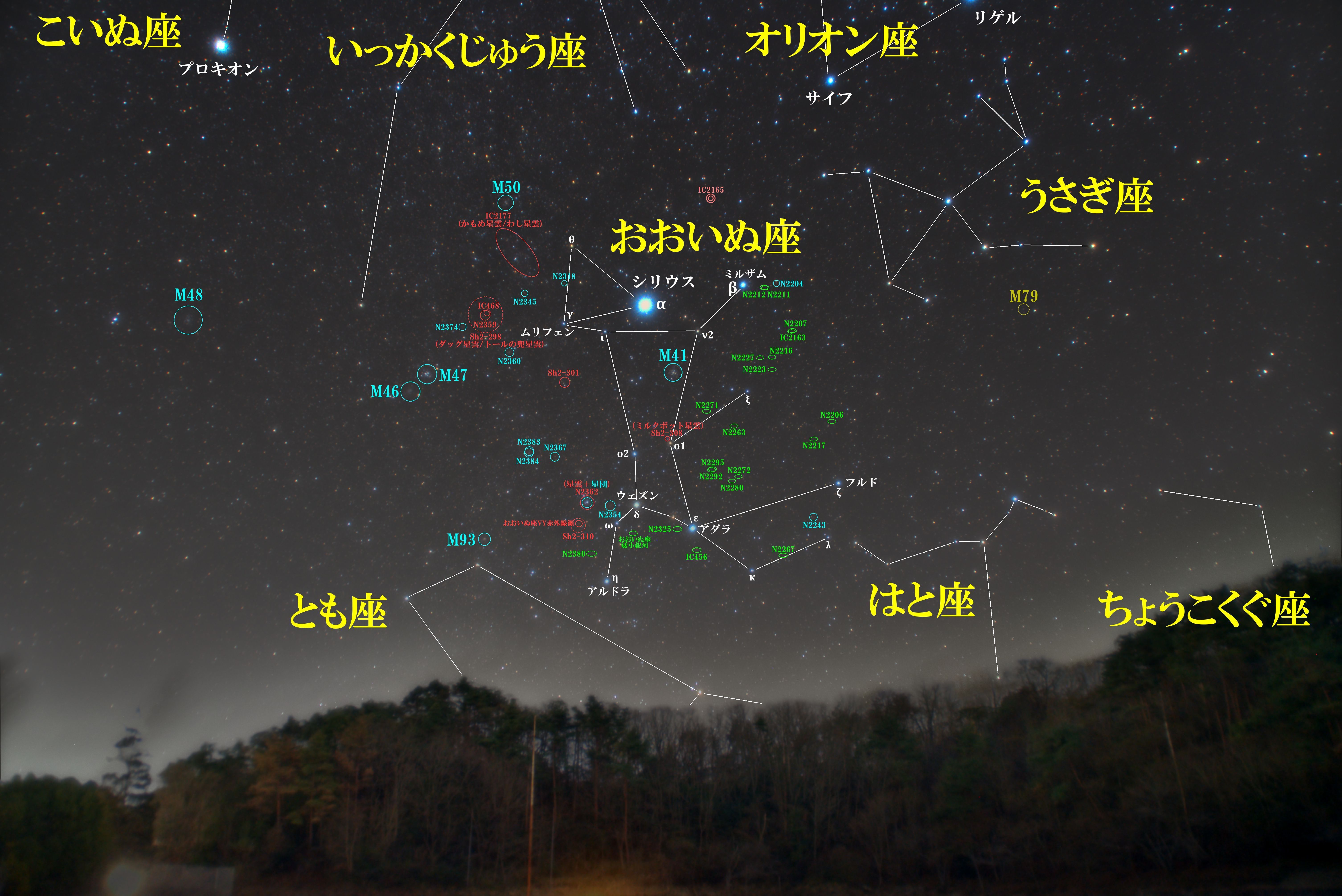 おおいぬ座 星座 春夏秋冬別の星野 星景 星空写真と星図