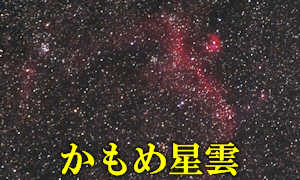 かもめ星雲（IC2177＋NGC2327）