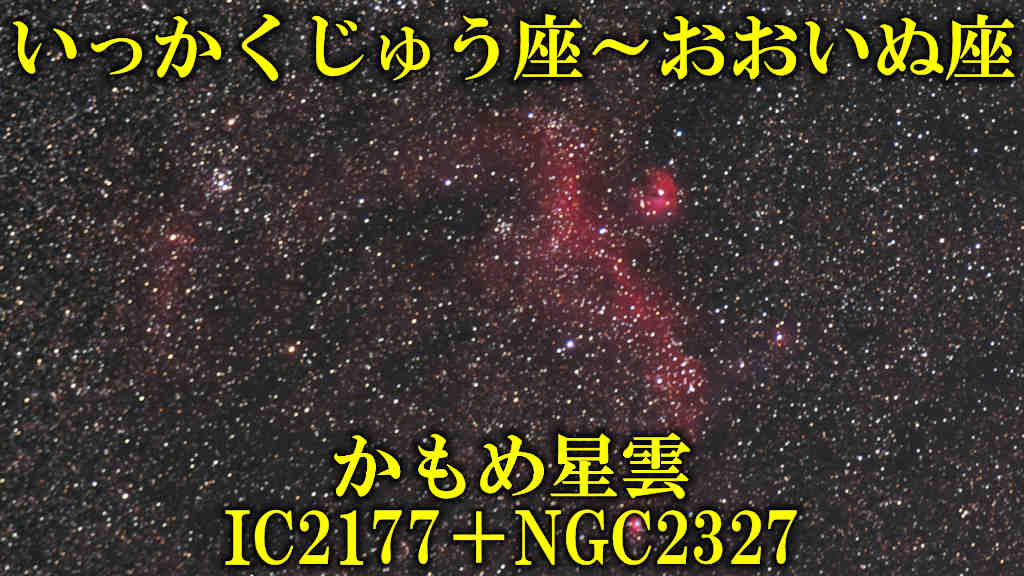 かもめ星雲（IC2177＋NGC2327）