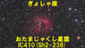IC410（おたまじゃくし星雲）