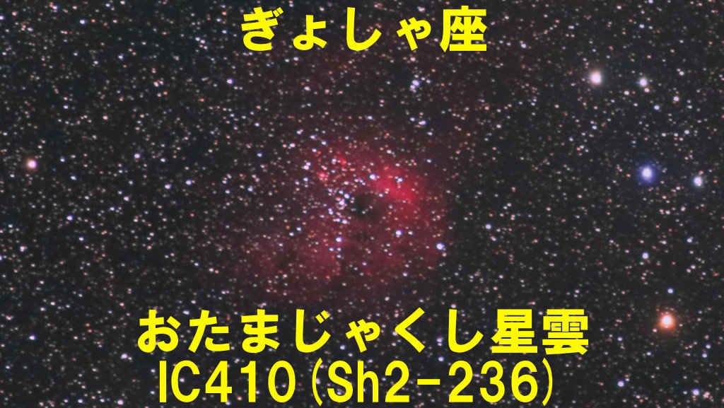 IC410（Sh2-236）おたまじゃくし星雲