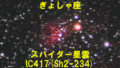 IC417（スパイダー星雲）