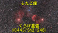 IC443（くらげ星雲）