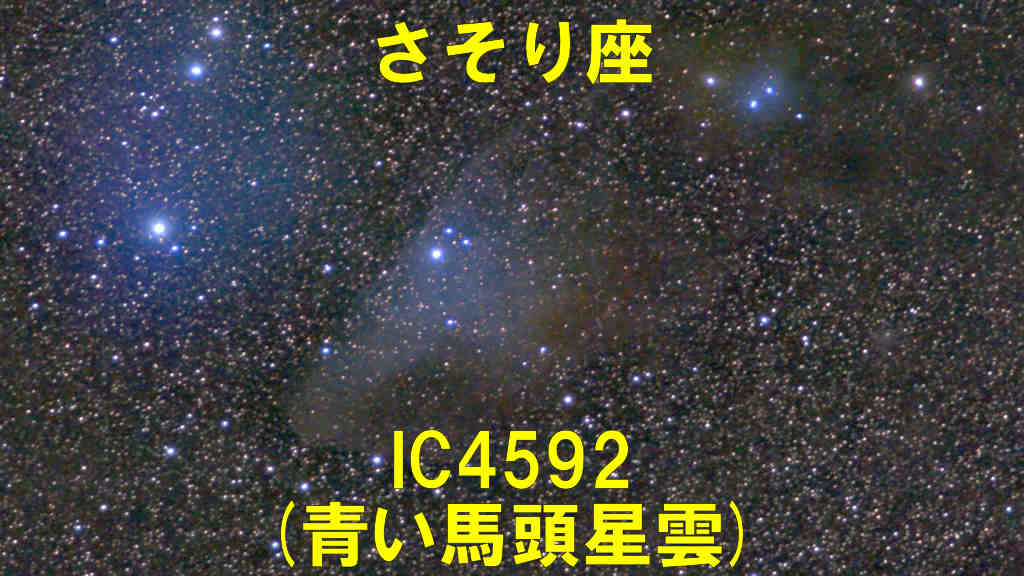 IC4592（青い馬頭星雲）