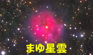 IC5146（まゆ星雲）