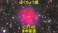 IC5146（まゆ星雲/コクーン星雲）