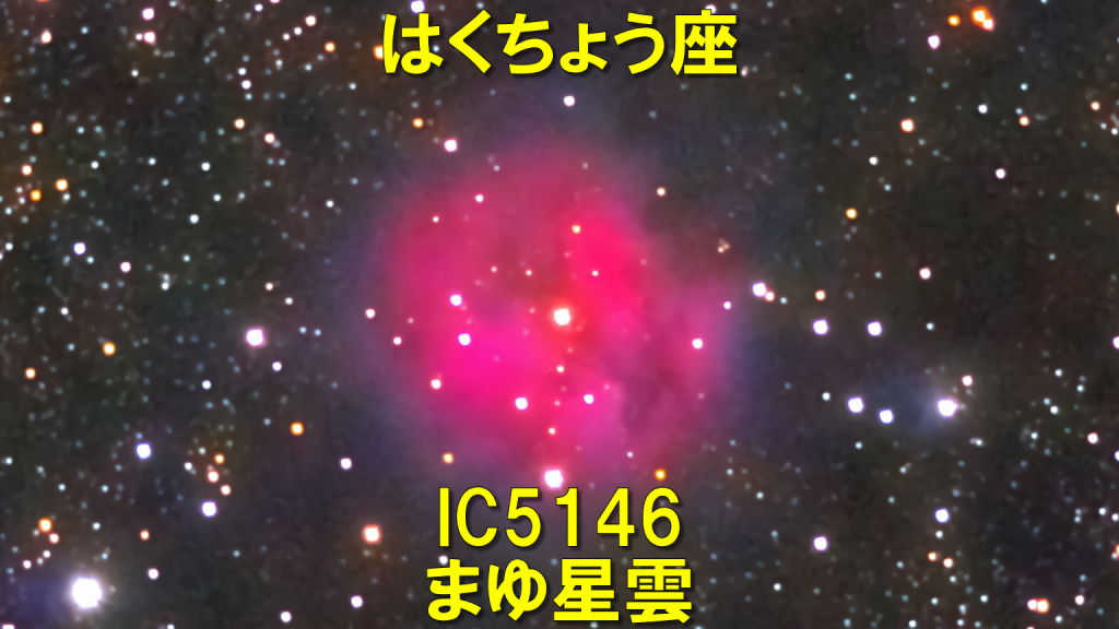 IC5146（まゆ星雲）