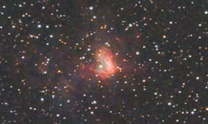 NGC1491（Sh2-206）