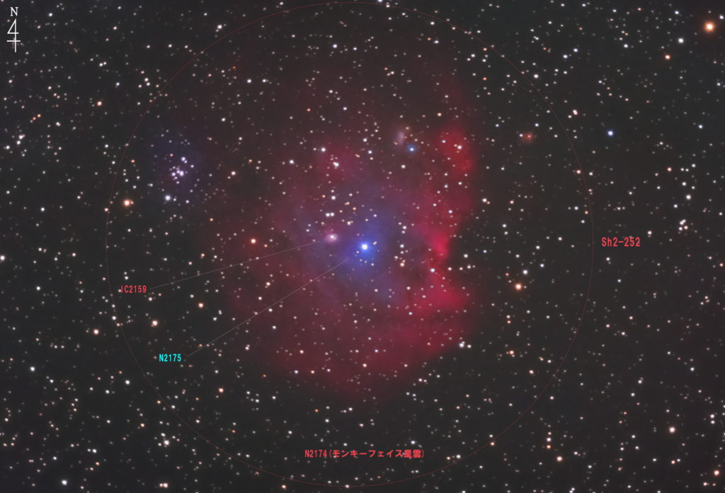 この天体写真はオリオン座にあるモンキー星雲（NGC2174/Sh2-252）と言う天体の拡大星図です。 中心部には散光星雲IC2159と散開星団NGC2175があります。 焦点距離はフルサイズ換算約1772mmです。