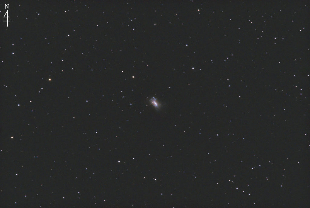 この天体写真は2022年04月04日に撮影した「りょうけん座」にあるNGC4449と言う不規則銀河です。焦点距離は1421mm。