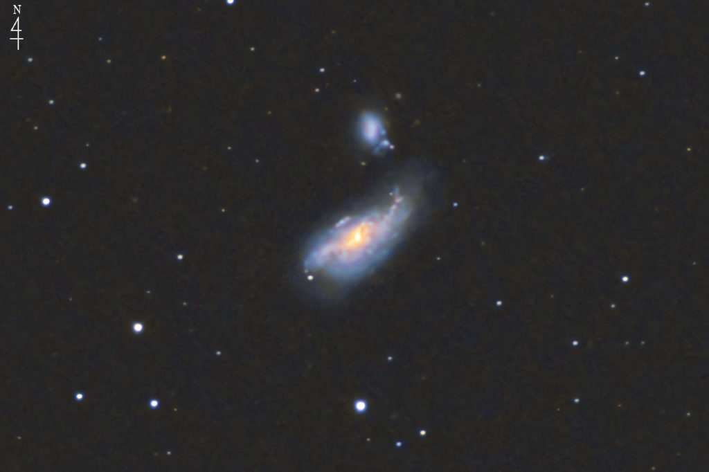 この棒渦巻銀河の天体写真は2022年04月04日20時07分42秒から撮影した「りょうけん座」にある「まゆ星雲（NGC4490）」と言う天体です。上部には伴銀河であるNGC4485（不規則銀河）が写っています。使用機材はミード「LXD-55」（口径15cm/F5/シュミットニュートン式反射望遠鏡）と一眼レフカメラのリコー「PENTAX KP」及びKenko「スターリーナイトフィルター」。ISO25600/F5/露出30秒/119枚加算平均コンポジット。焦点距離はフルサイズ換算約5329mmです。