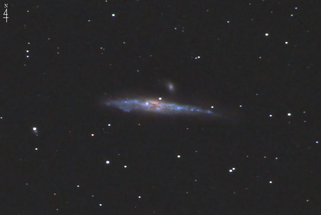 この天体写真は2022年04月04日に撮影した「りょうけん座」にあるくじら銀河（NGC4631）と言う棒渦巻銀河です。少し上に映っている小さな矮小楕円銀河はNGC4627。焦点距離は3551mm。
