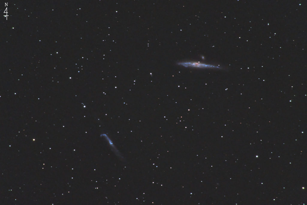 この天体写真は2022年04月04日に撮影した「りょうけん座」にあるくじら銀河（NGC4631）とホッケースティック銀河（NGC4656＋NGC4657）です。焦点距離は1421mm。