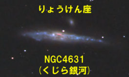 NGC4631（くじら銀河）