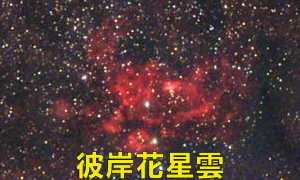 NGC6357（彼岸花星雲）
