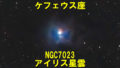 NGC7023（アイリス星雲）
