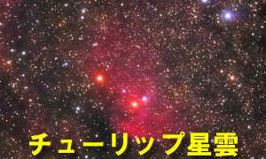 チューリップ星雲（Sh2-101）