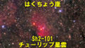 Sh2-101（チューリップ星雲）