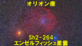 Sh2-264（エンゼルフィッシュ星雲）