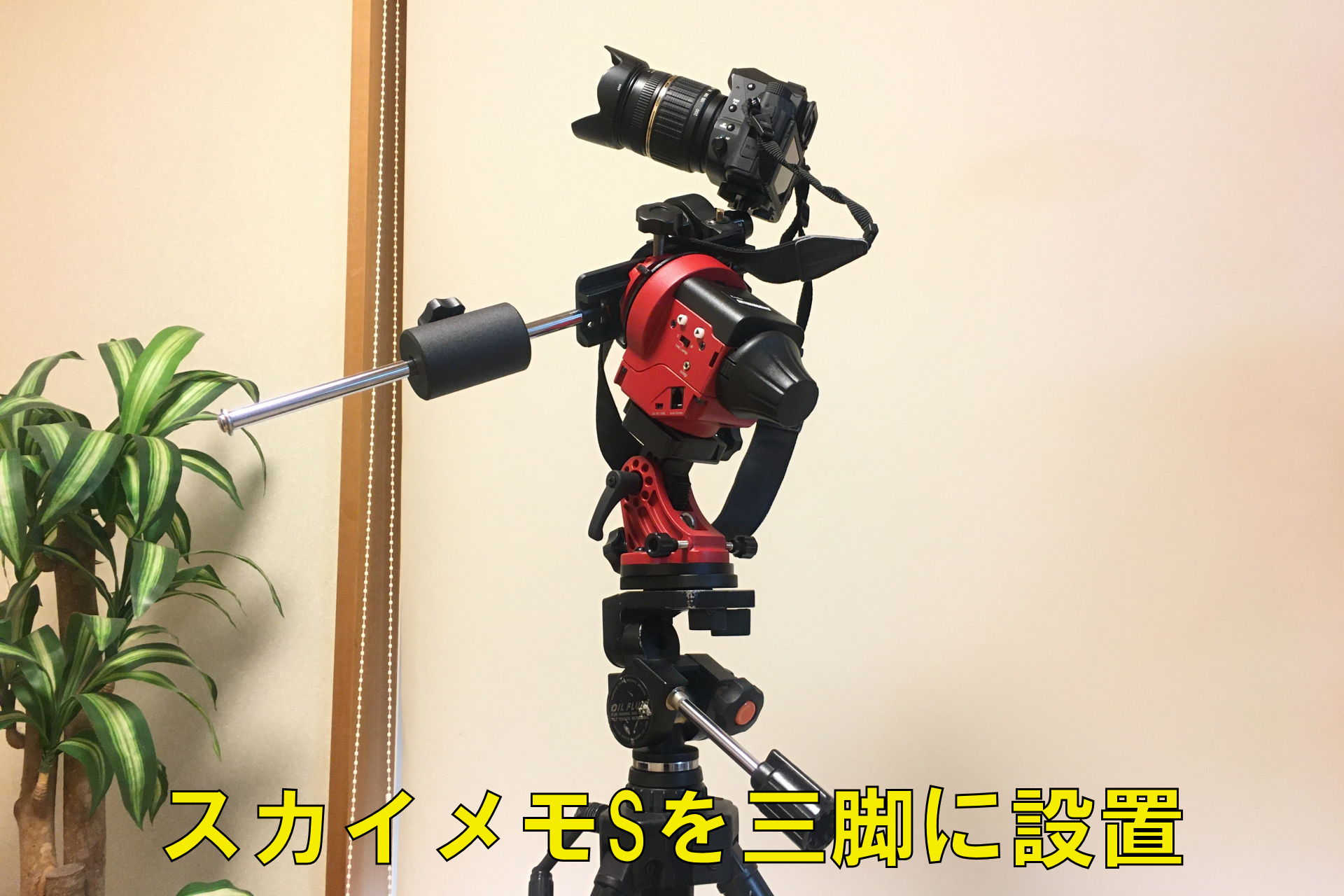 800枚ケース Kenko SKYMEMO S ・微動雲台・三脚セット 即納複数購入可能|家電・スマホ・カメラ - rspg-spectrum.eu