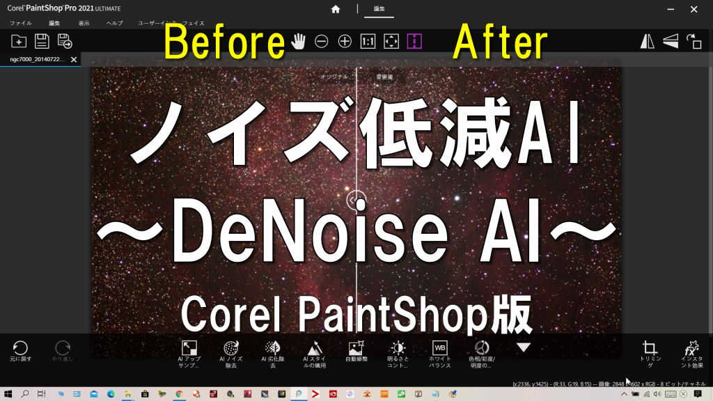 Corel PaintShop2021Ultimat版のDeNoise AI（ノイズ低減AI）