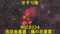 NGC6334（Sh2-8）/出目金星雲/猫の足星雲/猫の手星雲/肉球星雲/熊の手星雲