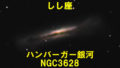 NGC3628（ハンバーガー銀河）